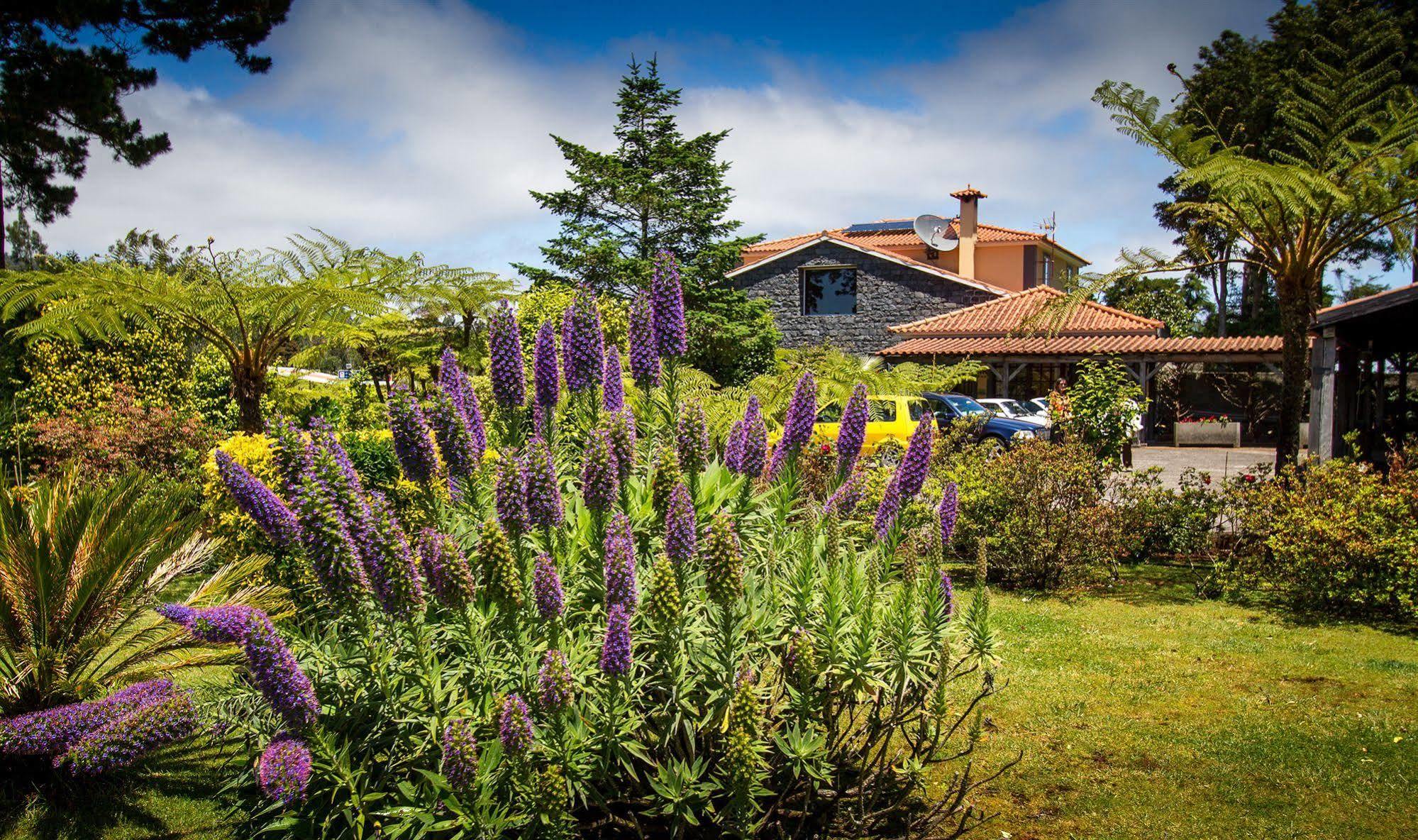 Hotel Rural A Quinta Santo Antonio da Serra Luaran gambar